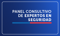 Panel Consultivo de Expertos en Seguridad